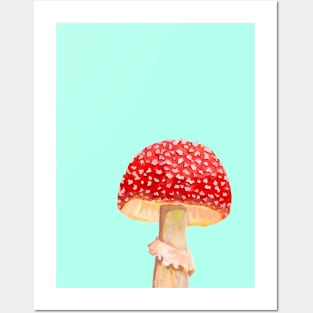 Mushroom Master Fly Agaric Posters and Art